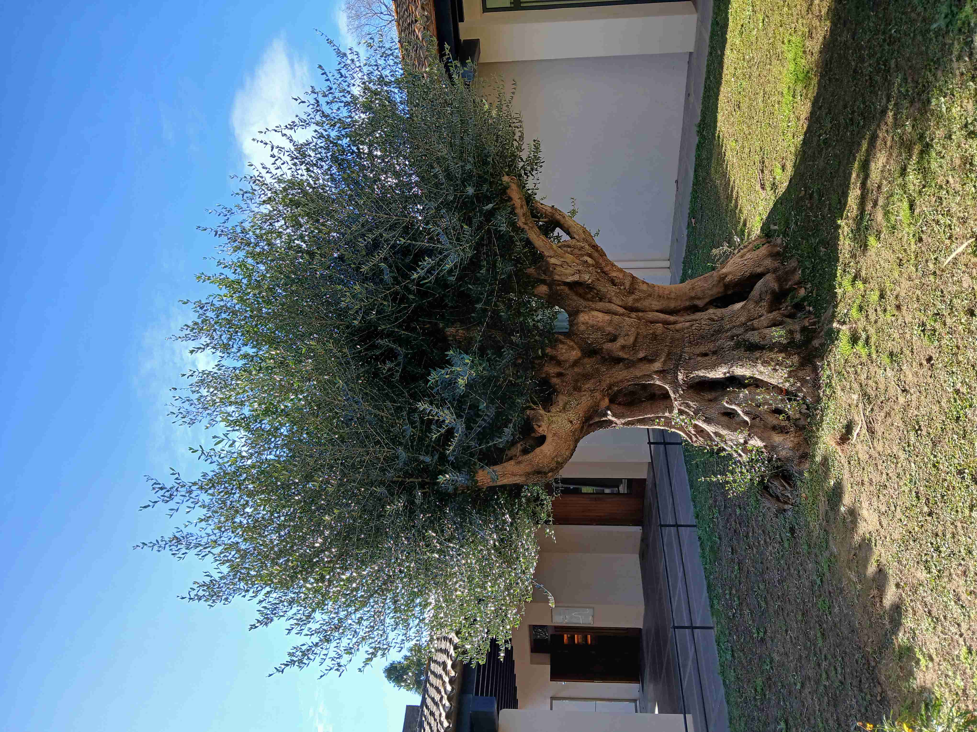 No s'ha trobat l'arxiu